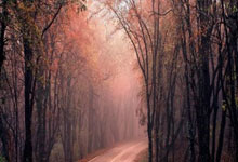 购买股票在哪里开户比较好:买股票哪个app好-十年高点A股还能上车吗？邵宇建议普通投资者这样布局